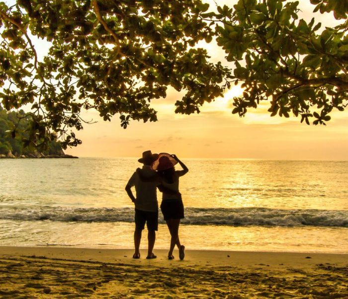 xr:d:DAFPQEFVUp8:4,j:38182436925,t:22101700